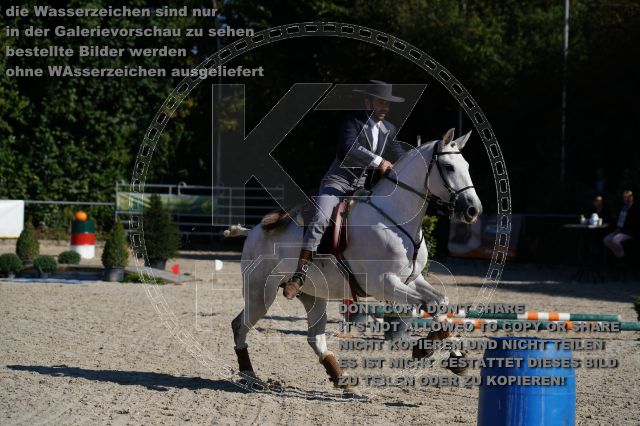 s_K3F03156.JPG